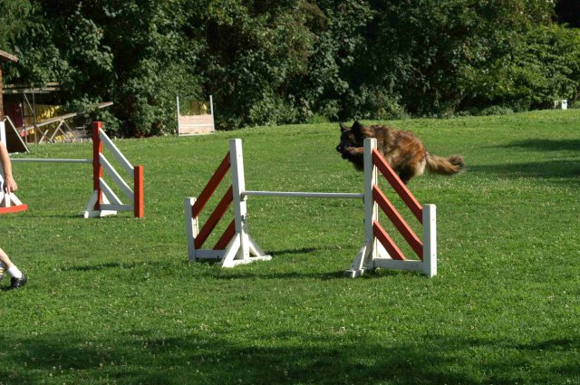 agility 2011-08